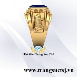 Nhẫn Nam Đá Quý Hiện Đại - Trang Sức TSJ